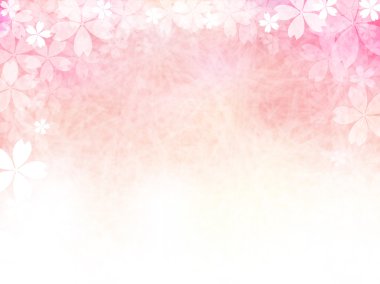 Kiraz çiçeği arkaplanı