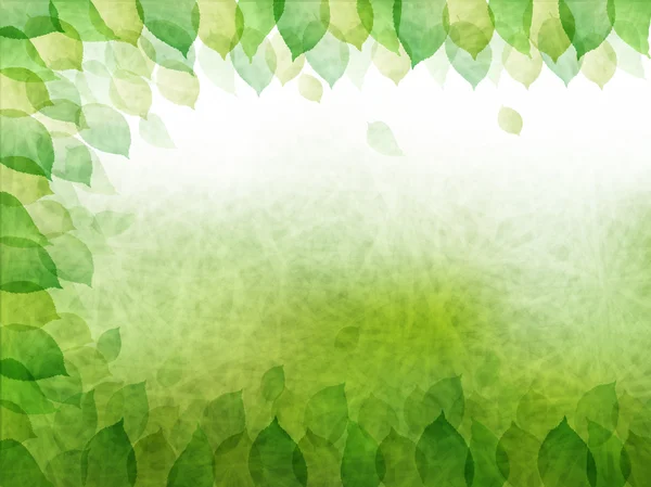 叶新鲜绿色背景 — 图库矢量图片