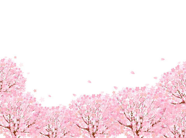 桜の背景 — ストックベクタ