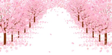 Cherry blossom background clipart