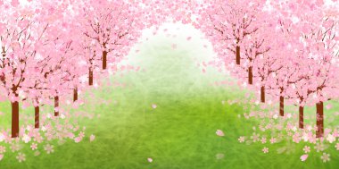 Kiraz çiçeği arkaplanı