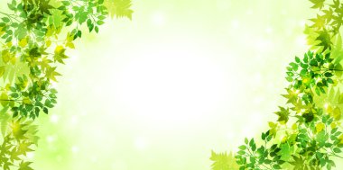 Yaprak taze yeşil arka plan