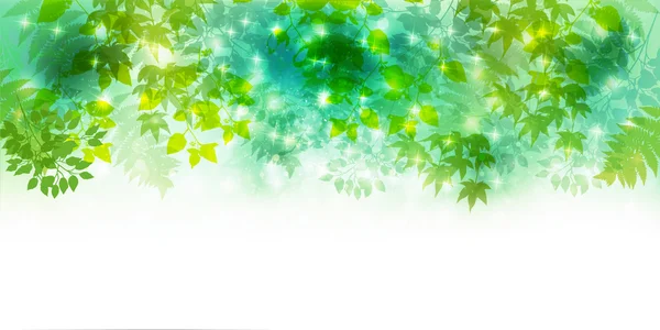 叶新鲜绿色背景 — 图库矢量图片