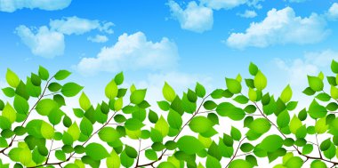 Yaprak taze yeşil arka plan