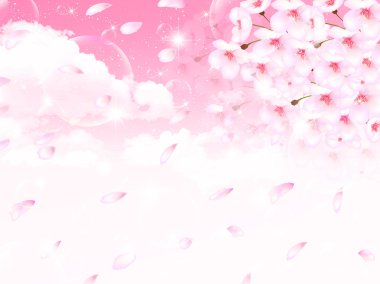 Kiraz çiçeği arkaplanı