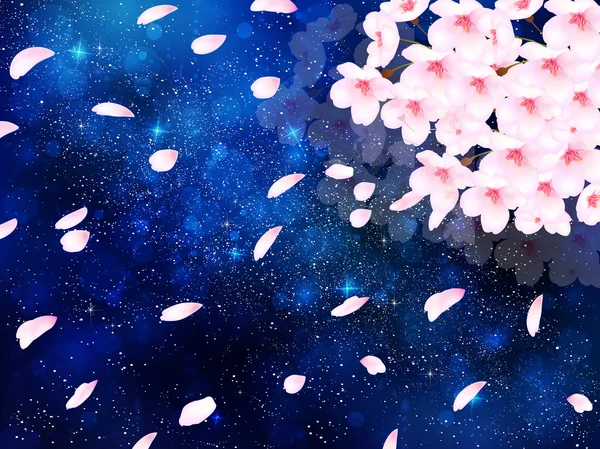 Cherry Blossom Night  Other  Anime Background Wallpapers on Desktop Nexus  Image 2073824