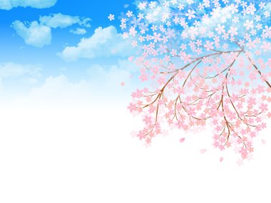 kiraz gökyüzü arka plan