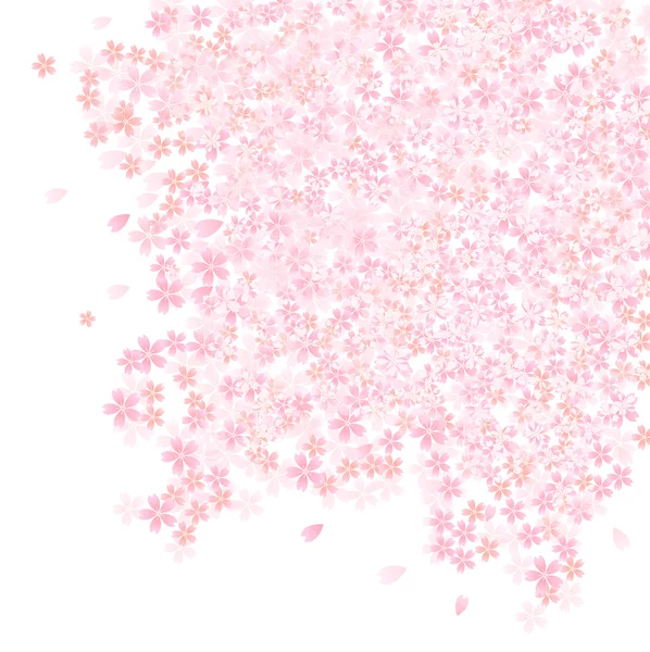 Cherry blossom background — Stock Vector