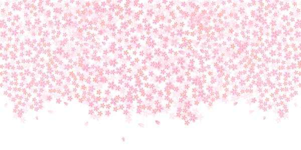 Cherry květ pozadí — Stockový vektor