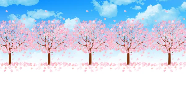Fundo flor de cereja — Vetor de Stock