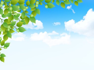 Yaprak taze yeşil arka plan