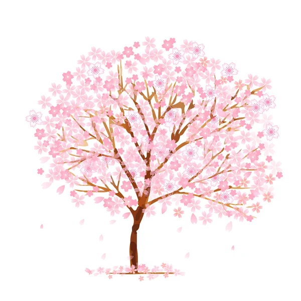 Arbre de fleur de cerisier — Image vectorielle