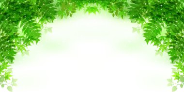 Yaprak taze yeşil arka plan