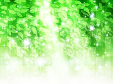 Yaprak taze yeşil arka plan