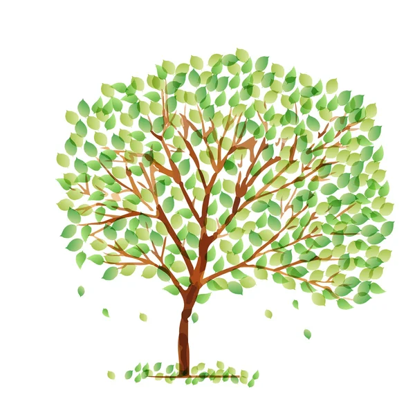 Árbol de hojas verde fresco — Vector de stock