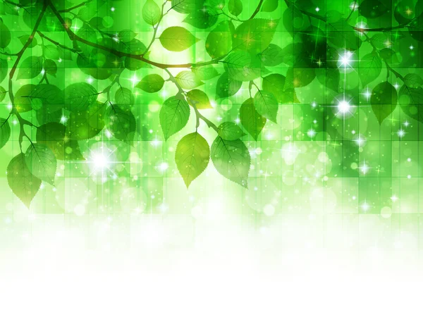Feuille fond vert frais — Image vectorielle