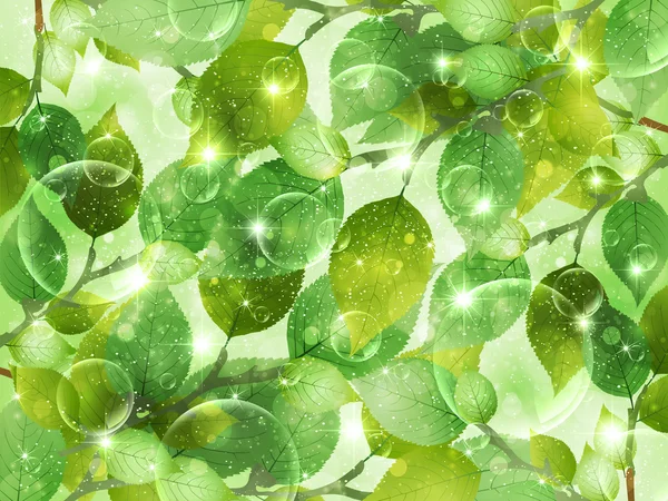 Leaf fresh green background — Stock Vector