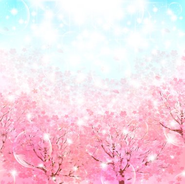 Kiraz çiçeği arkaplanı