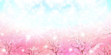 Kiraz çiçeği arkaplanı