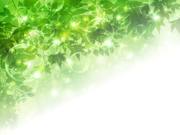 Listy čerstvé zelené pozadí — Stockový vektor