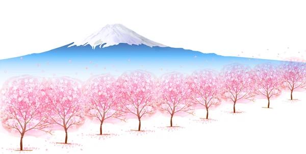Fuji-Kirsche Hintergrund — Stockvektor