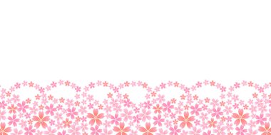 Kiraz çiçeği arkaplanı