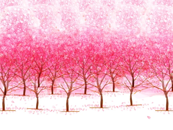 Fond de fleur de cerisier — Image vectorielle
