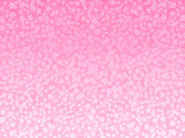 Kiraz çiçeği arkaplanı