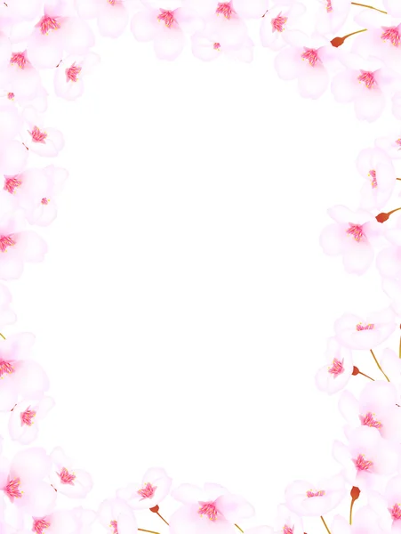 Latar belakang Cherry Blossom - Stok Vektor