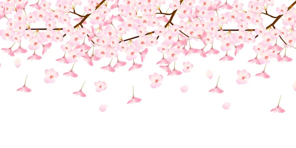 Fondo de flor de cerezo — Archivo Imágenes Vectoriales