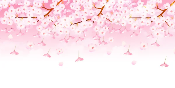 Φόντο άνθη κερασιάς — Διανυσματικό Αρχείο