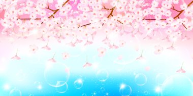 Kiraz çiçeği arkaplanı