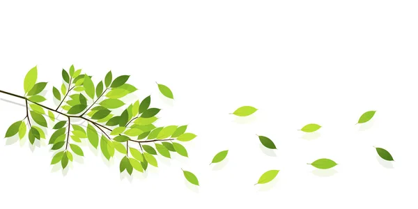 Leaf fresh green background — Stock Vector