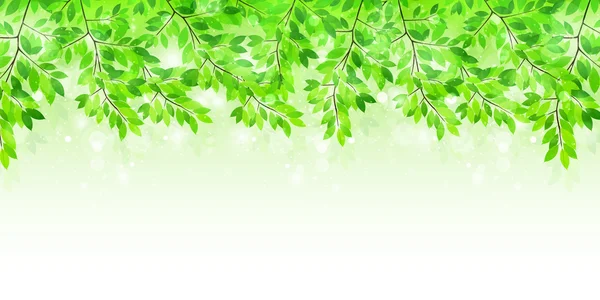 Blad färsk grön bakgrund — Stock vektor