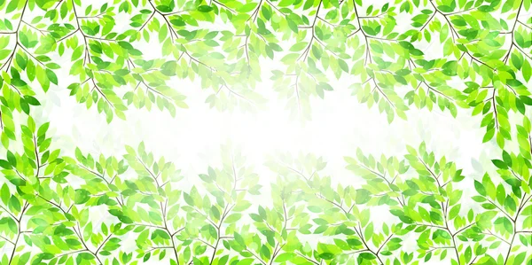 Feuille fond vert frais — Image vectorielle
