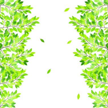 Yaprak taze yeşil arka plan