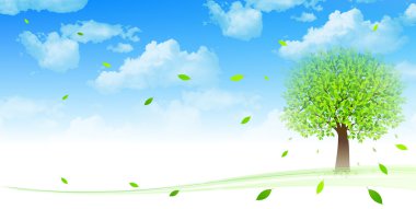 Yaprak taze yeşil arka plan