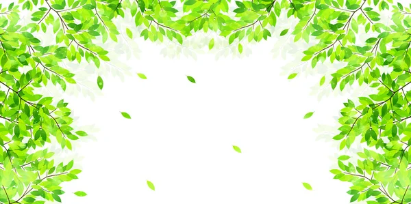 Leaf fresh green background — Stock Vector