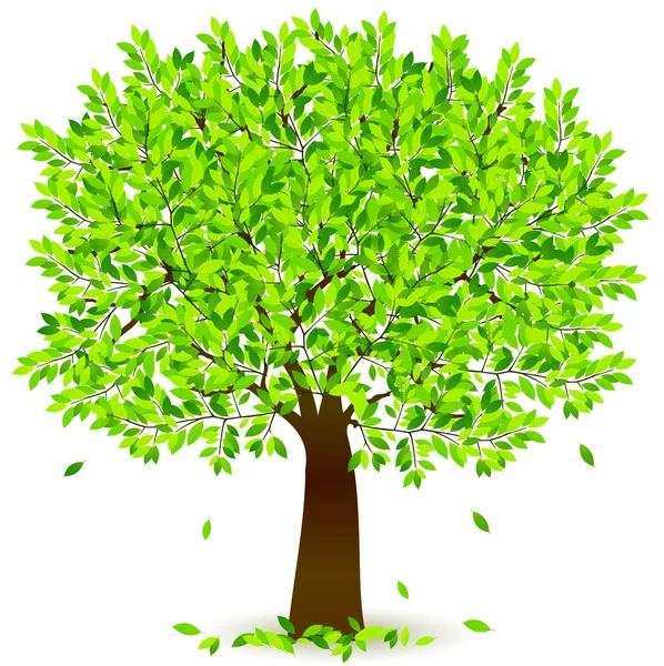 Yaprak taze yeşil arka plan