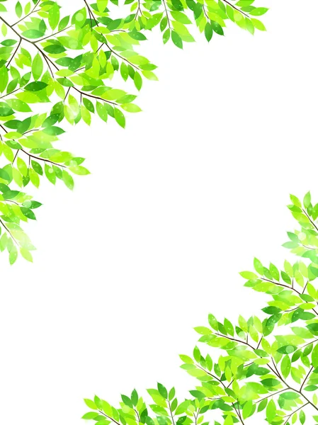 Yaprak taze yeşil arka plan — Stok Vektör
