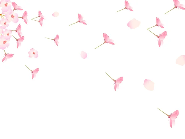 चेरी फूल पृष्ठभूमि — स्टॉक वेक्टर
