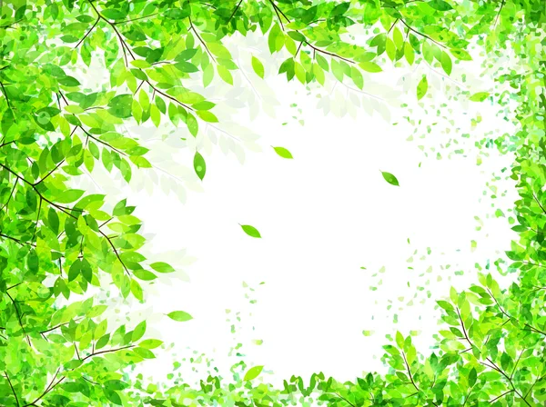 Hoja de fondo verde fresco — Vector de stock