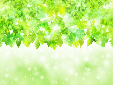 Leaf fresh green background clipart