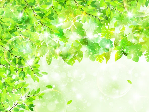 Folha verde fresco fundo — Vetor de Stock