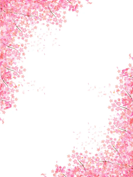 Kiraz çiçeği arkaplanı