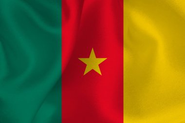 Kamerun bayrağı bayrak