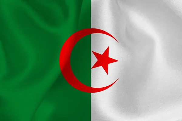 Cezayir bayrağı bayrak — Stok Vektör