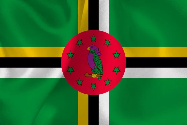 Dominikanska republiken flagga flagga — Stock vektor