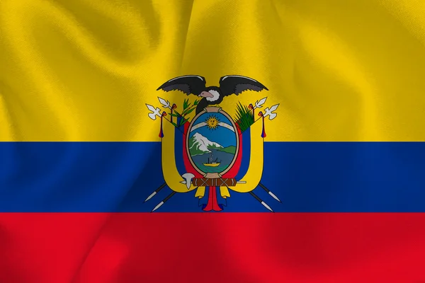 Ecuador zászló zászló — Stock Vector
