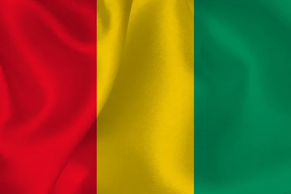 Bandera de Guinea — Vector de stock